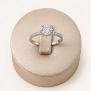 Anillo Amanda