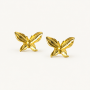 Aros dorados con diseño de mariposa brillante – MCJoyas